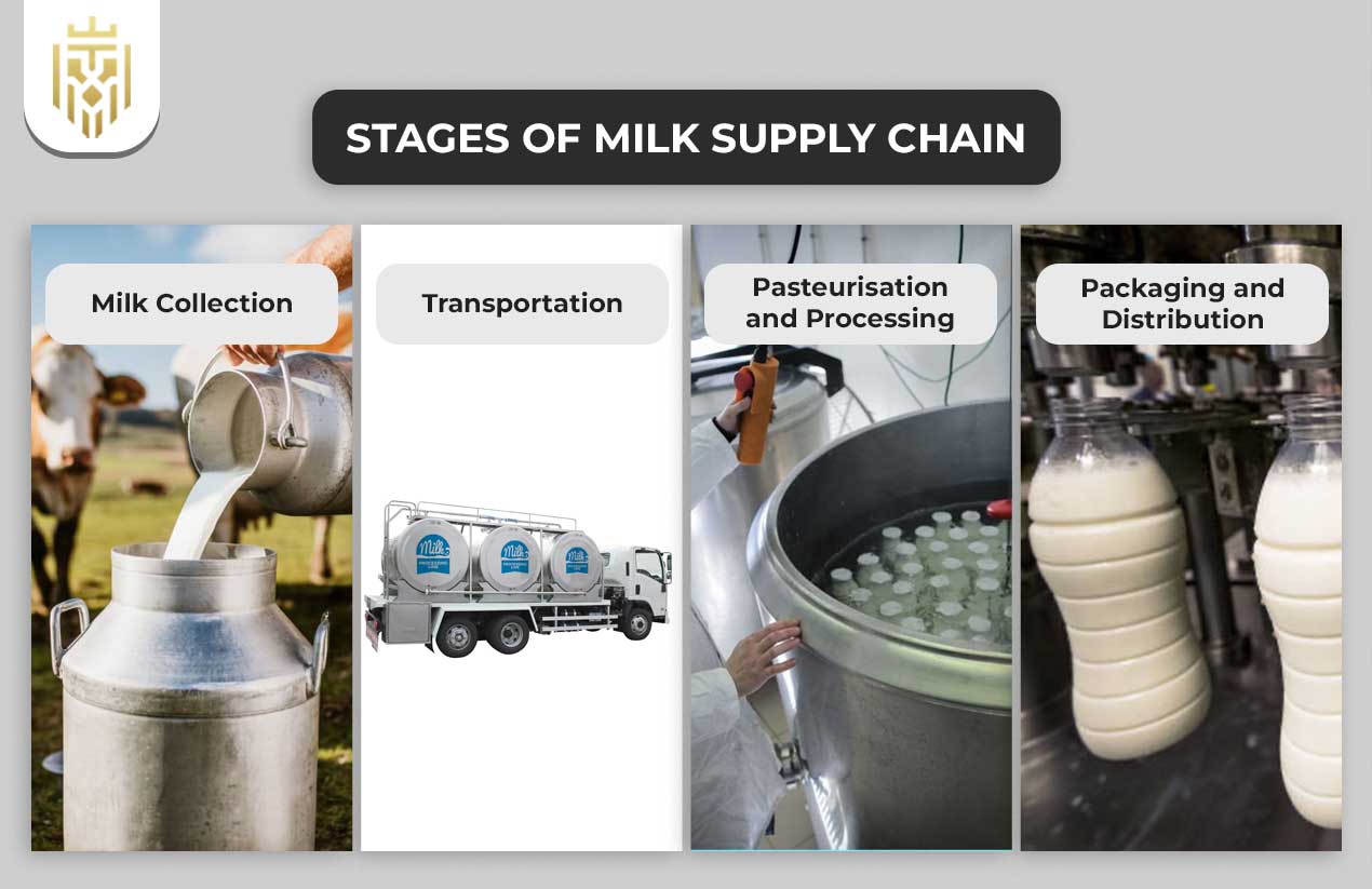Why Mobster Al Capone took Interest in Milk? : Insights into Milk Supply Chain | JEL