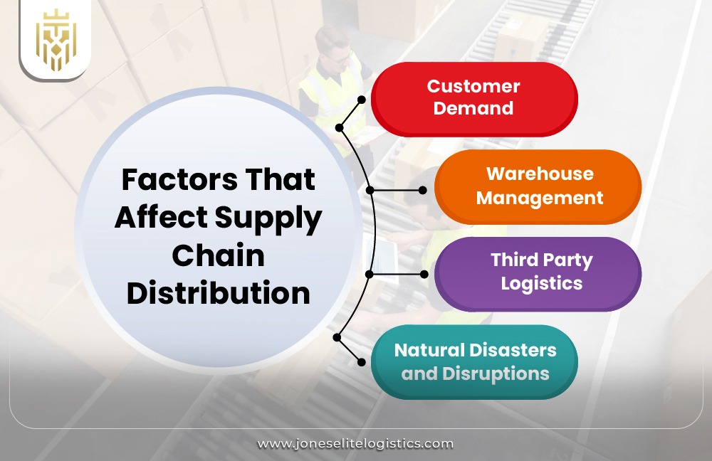 What is Role of Distribution in Supply Chain? | JEL