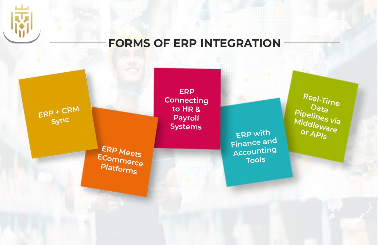 Forms of ERP Integration